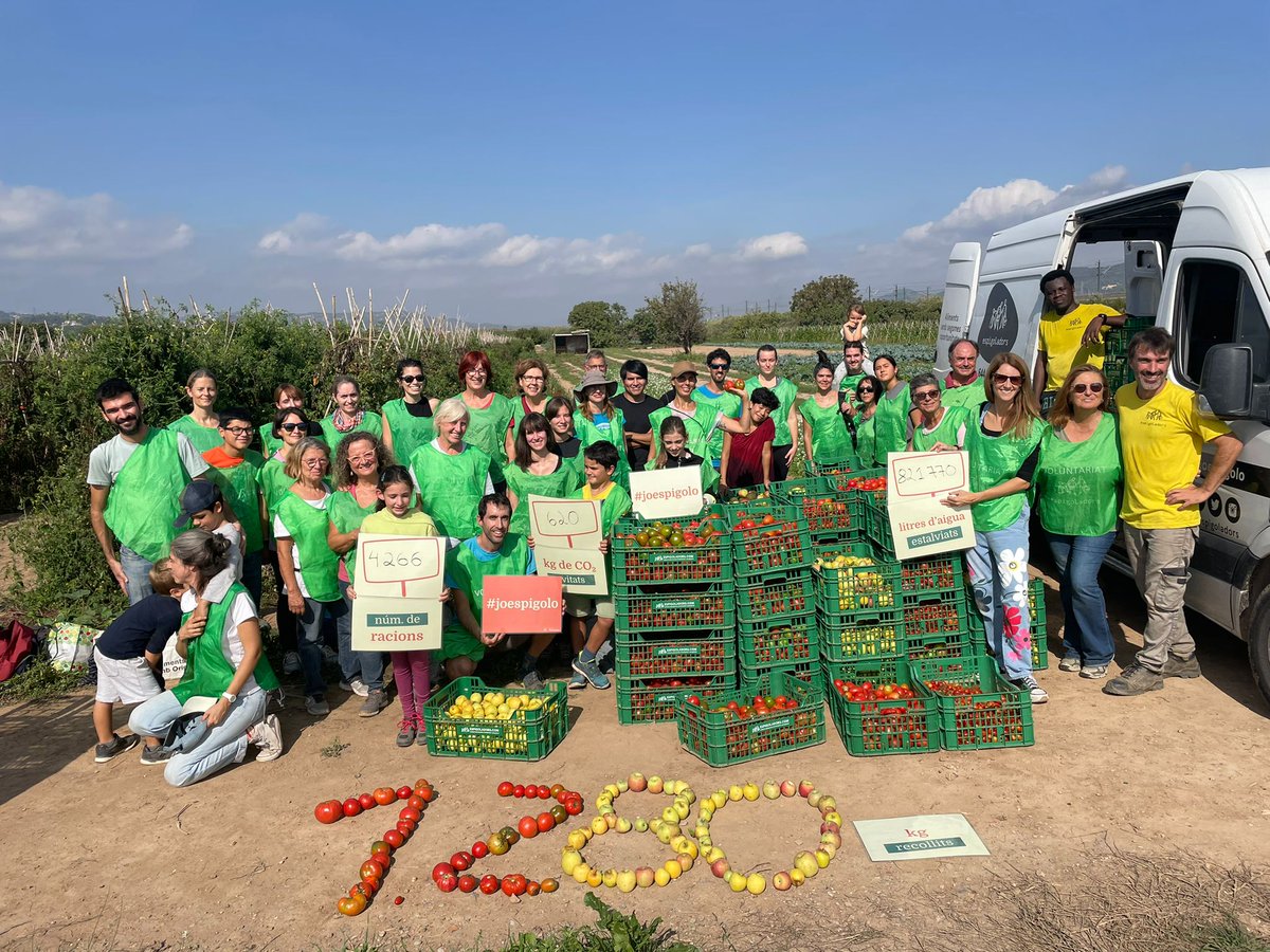 espigoladors's tweet photo. 👩🏼‍🌾 Un centenar de voluntaris i voluntàries han participat avui, #diamundialdelalimentacio, en la 2a Marató #joespigolo per l'aprofitament alimentari, organitzada amb el suport d'@accioclimatica. 

En total hem espigolat prop de 6.000 kg d'aliments! 🍏💪

Us ho expliquem! 👇 https://t.co/UliSjMhQpM