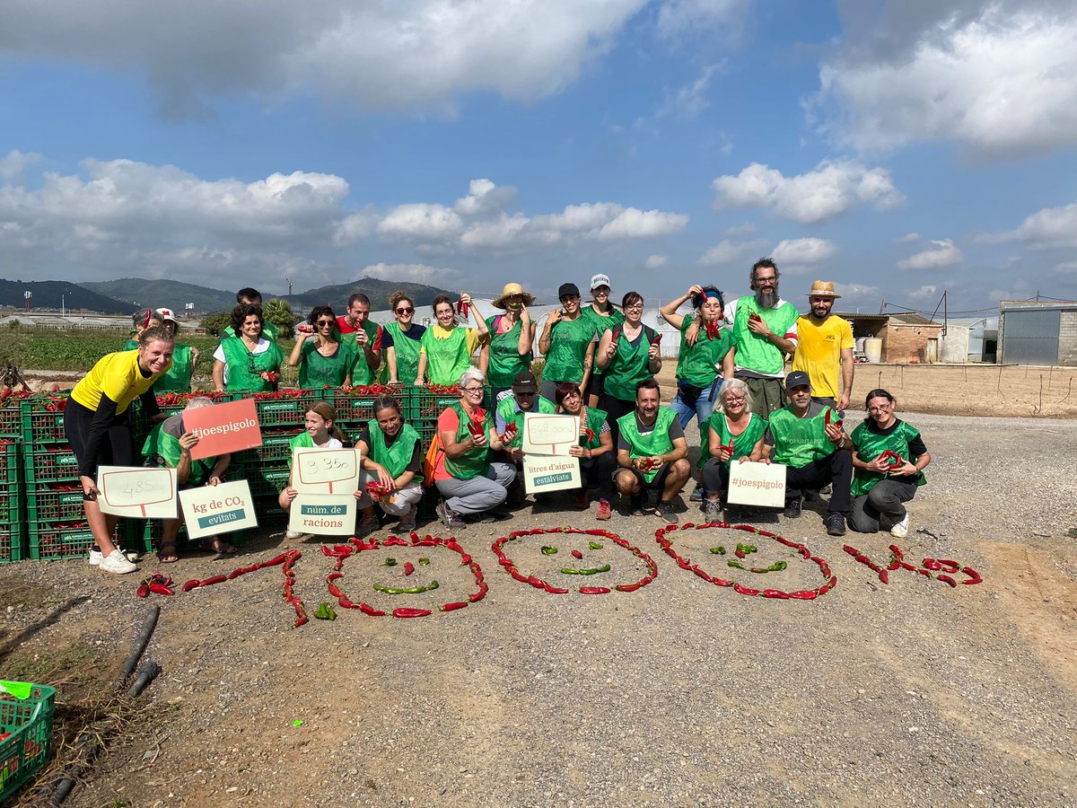 espigoladors's tweet photo. 👩🏼‍🌾 Un centenar de voluntaris i voluntàries han participat avui, #diamundialdelalimentacio, en la 2a Marató #joespigolo per l'aprofitament alimentari, organitzada amb el suport d'@accioclimatica. 

En total hem espigolat prop de 6.000 kg d'aliments! 🍏💪

Us ho expliquem! 👇 https://t.co/UliSjMhQpM