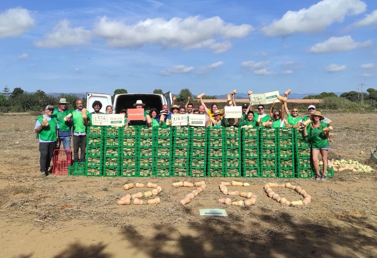 👩🏼‍🌾 Un centenar de voluntaris i voluntàries han participat avui, #diamundialdelalimentacio, en la 2a Marató #joespigolo per l'aprofitament alimentari, organitzada amb el suport d'<a href="/accioclimatica/">Assemblea d'acció climàtica</a>. 

En total hem espigolat prop de 6.000 kg d'aliments! 🍏💪

Us ho expliquem! 👇