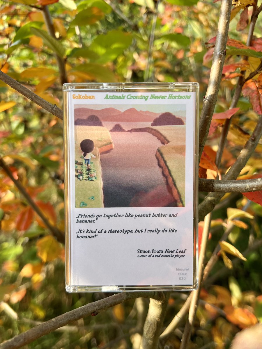 BinauralSpace's tweet photo. I’m preparing the 2nd batch of @Sokoban_chill’s Animals Crossing Newer Horizons cassettes for shipping.

If you order yours in the next 12 hours yours will be part of it, too.

If you don’t, there might be none left later.

https://t.co/NQ2ZopsXKk https://t.co/ygKd0NP5gV