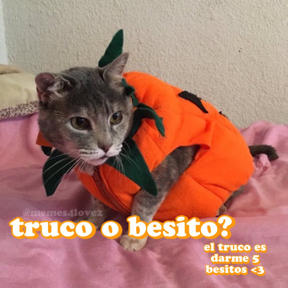 🎃