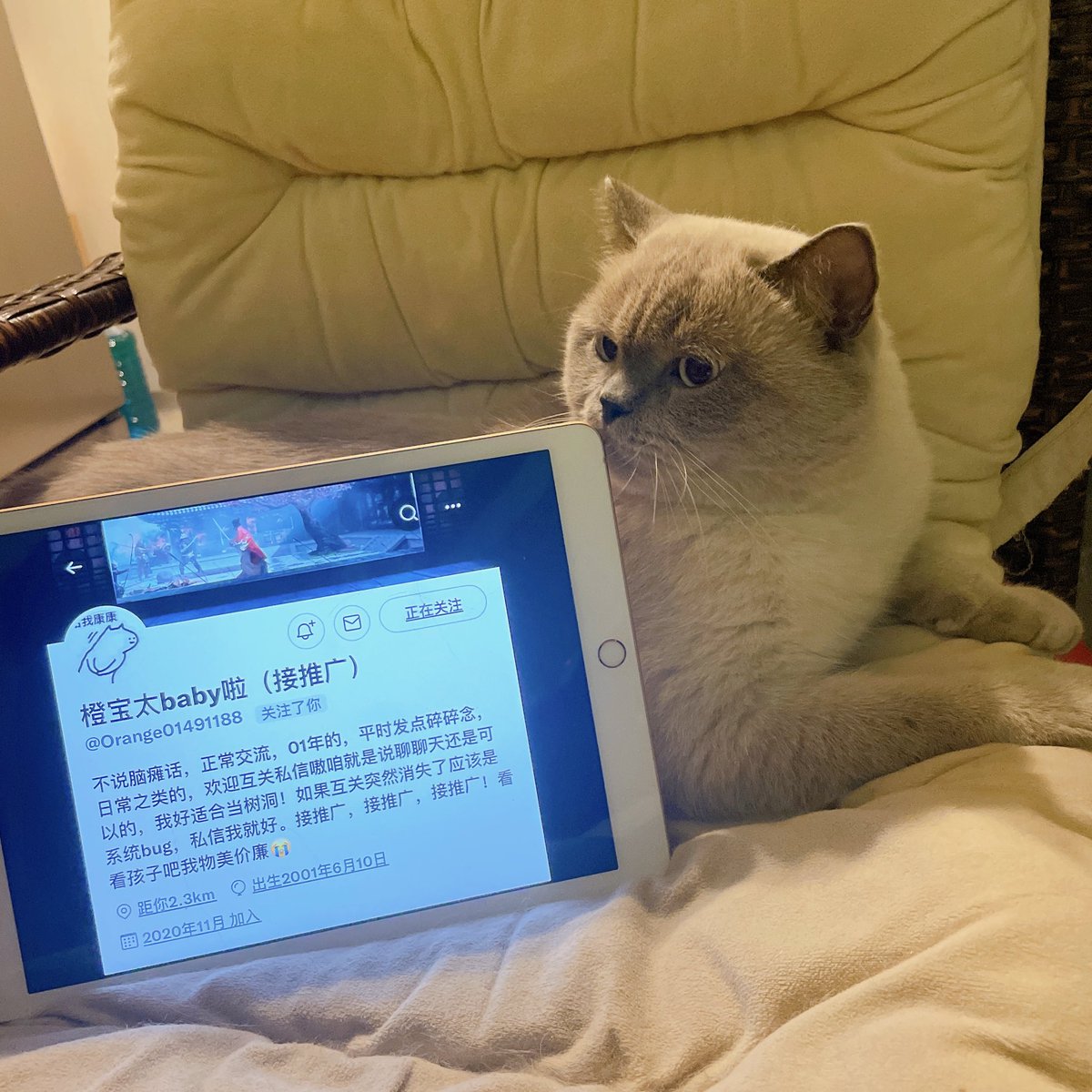 椰果举牌，要的互关d我（给的慢就是椰果不想拍照）
不是互关的52一张 https://t.co/Q3dBzk6bbc