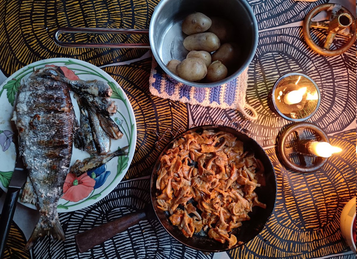 HelenaReiman's tweet photo. #Kanttarelli kausi jatkuu! Kyytipoikana #siika #muikku #siikli. 
#Suppilovahvero ovat nouseet. Ovat hyvälaatuisia. Ja niitä on paljon. 
Tsekkaa ensiharvennettujen männiköiden ajourien lähistöt.  Tai järeät rinnekuusikot. Polkujen varret ja lahopuiden ympäristöt. Sammalpedillä! https://t.co/xTD2Nn1ayT