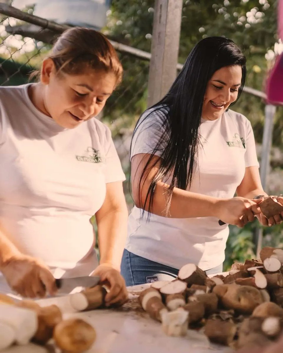 RonDiplomatico's tweet photo. En Diplomático, apoyamos el Día Mundial de la Alimentación. 🌎🥕 Para nosotros, colaborar con iniciativas de cero desperdicio de alimentos es tan importante como cuidar de nuestra comunidad y elaborar los mejores rones. https://t.co/TNHt1WbfgA