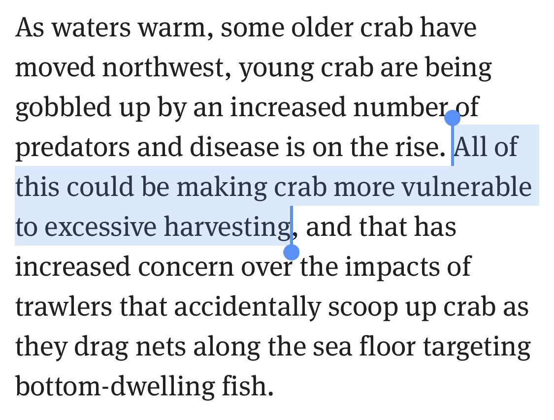 The cold pool connects the snow crab to climate collapse. But let’s not forget that on top of all these environmental factors is industrial-scale extraction and bycatch by the fishing industry. What role is this playing? We’ll come back to that. seattletimes.com/seattle-news/v…