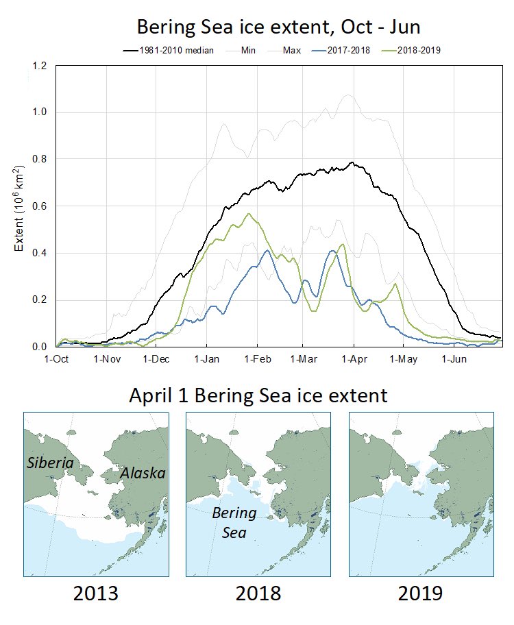 Many have linked the snow crab collapse to climatic contraction of the sea ice. But it doesn’t seem that warm water alone killed the crabs. Was it all predators? Disease? Or is it possible the role of the fishing industry has been downplayed yet again? nsidc.org/arcticseaicene…