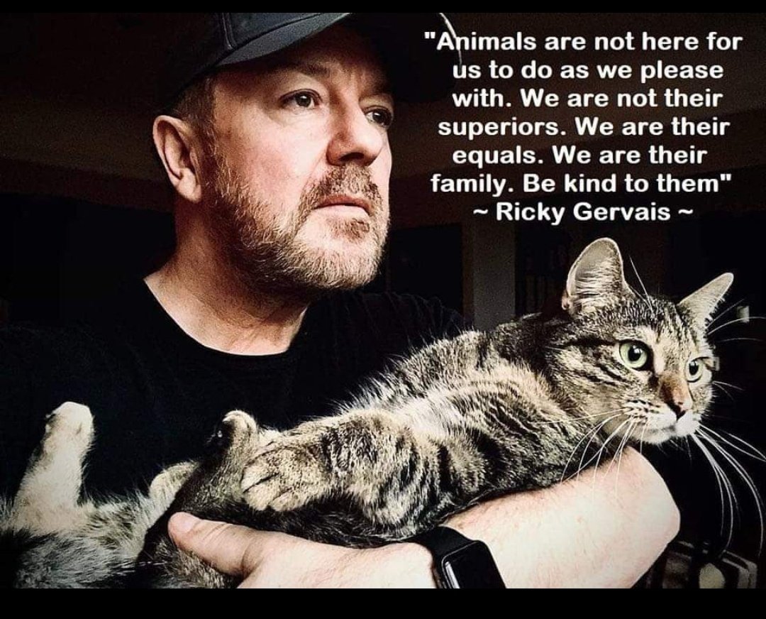 <a href="/rickygervais/">Ricky Gervais</a> #rickysbollocks Q : If animals developed the ability to talk, what do you think  would be the first thing they would say ? And what would be the first discussion you would have with them 🤔 thank you for all you do for them..🙏❤🐾🐾 ✨️