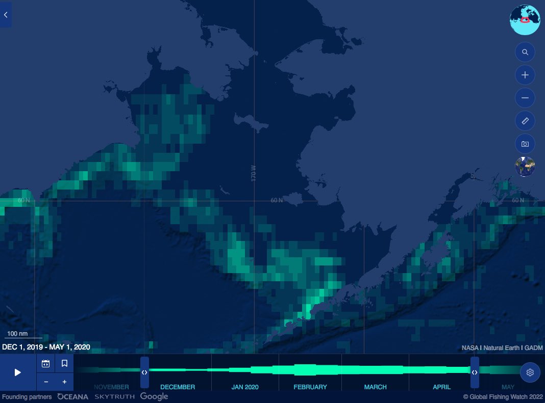 Geotransmitter data compiled by @GlobalFishWatch indicate fishing vessels took advantage of the contracting sea ice. On the left is winter & spring fishing in 2013, a more normal ice year. On the right is the same season in 2020, during the sea ice lows. globalfishingwatch.org/map/?latitude=…