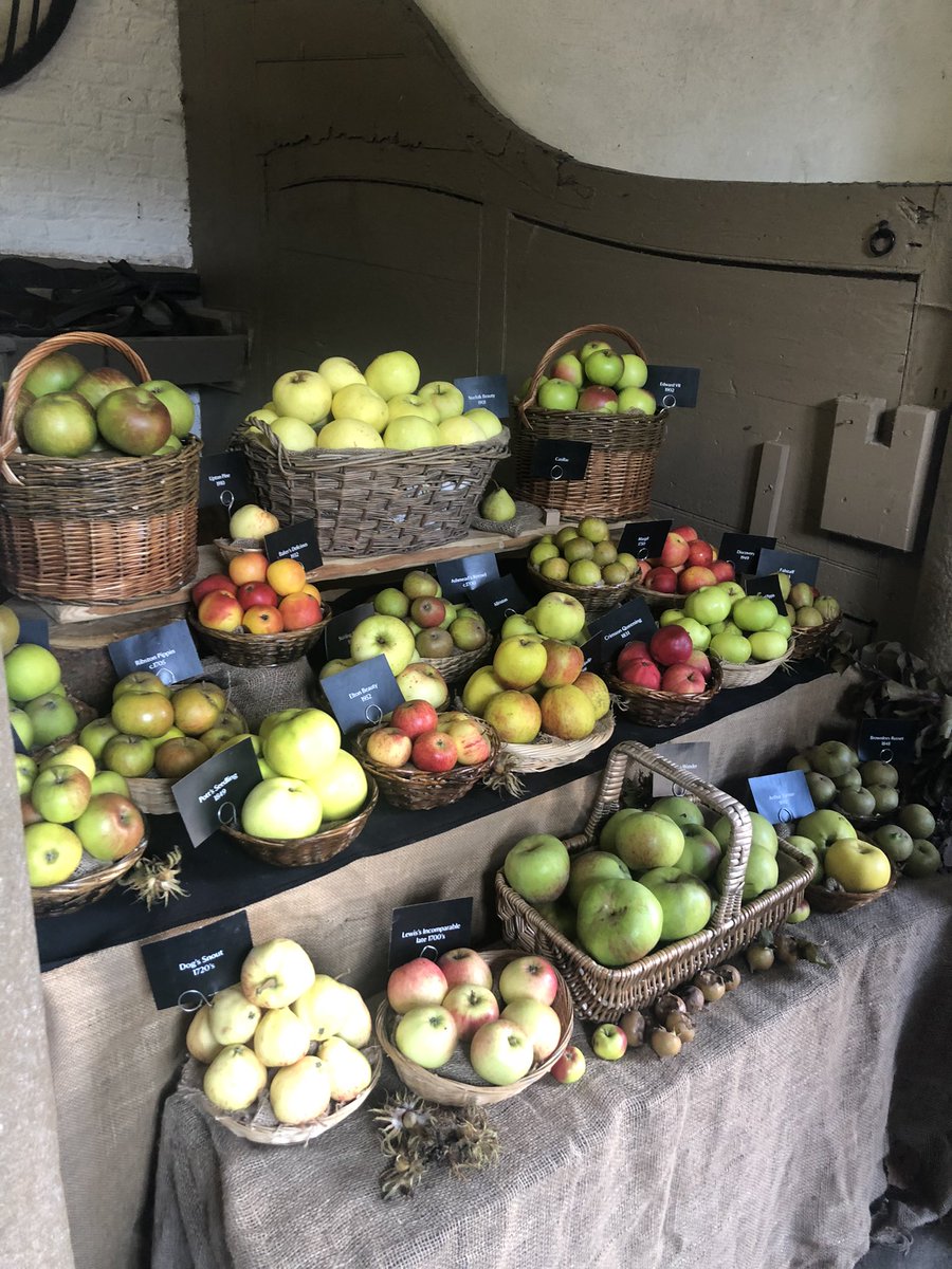 Jessica Man Rooney tweet media