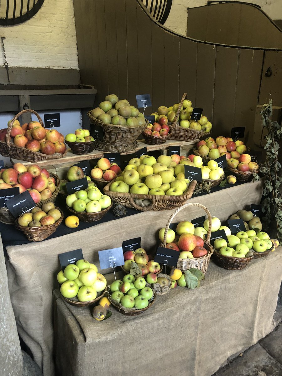 Jessica Man Rooney tweet media