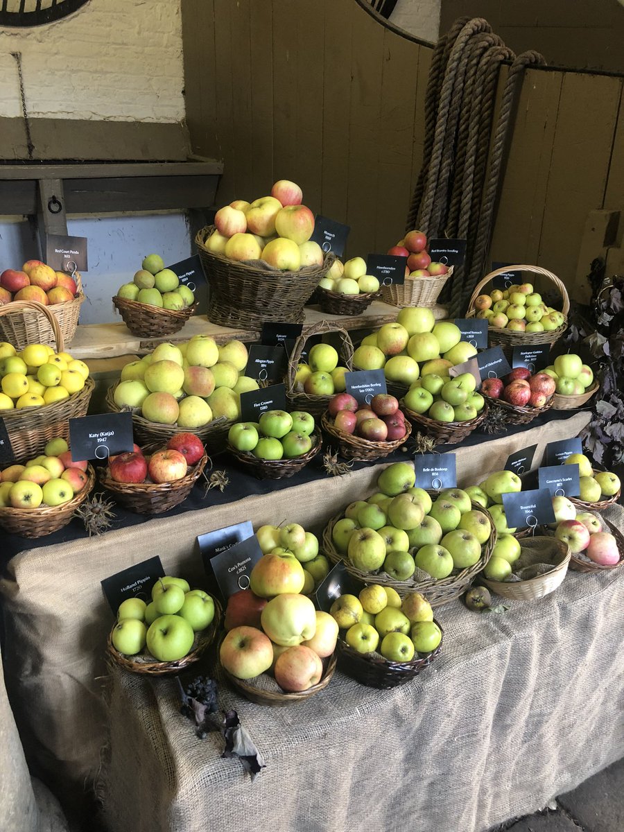 Jessica Man Rooney tweet media