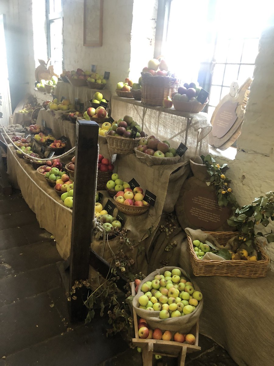 Jessica Man Rooney tweet media