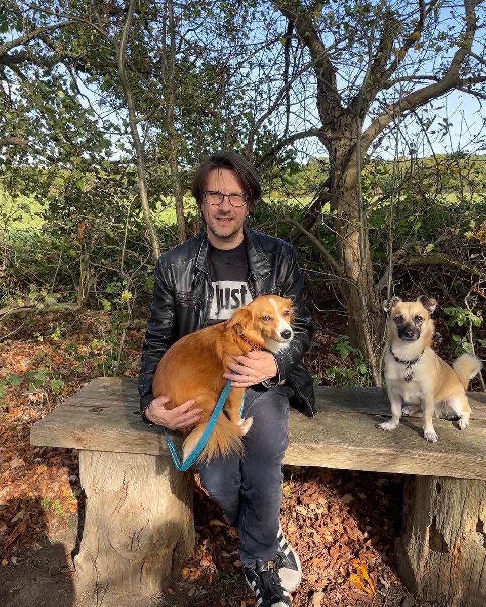 Steven Wilson on Twitter "Newest addition to the Wilson family. This