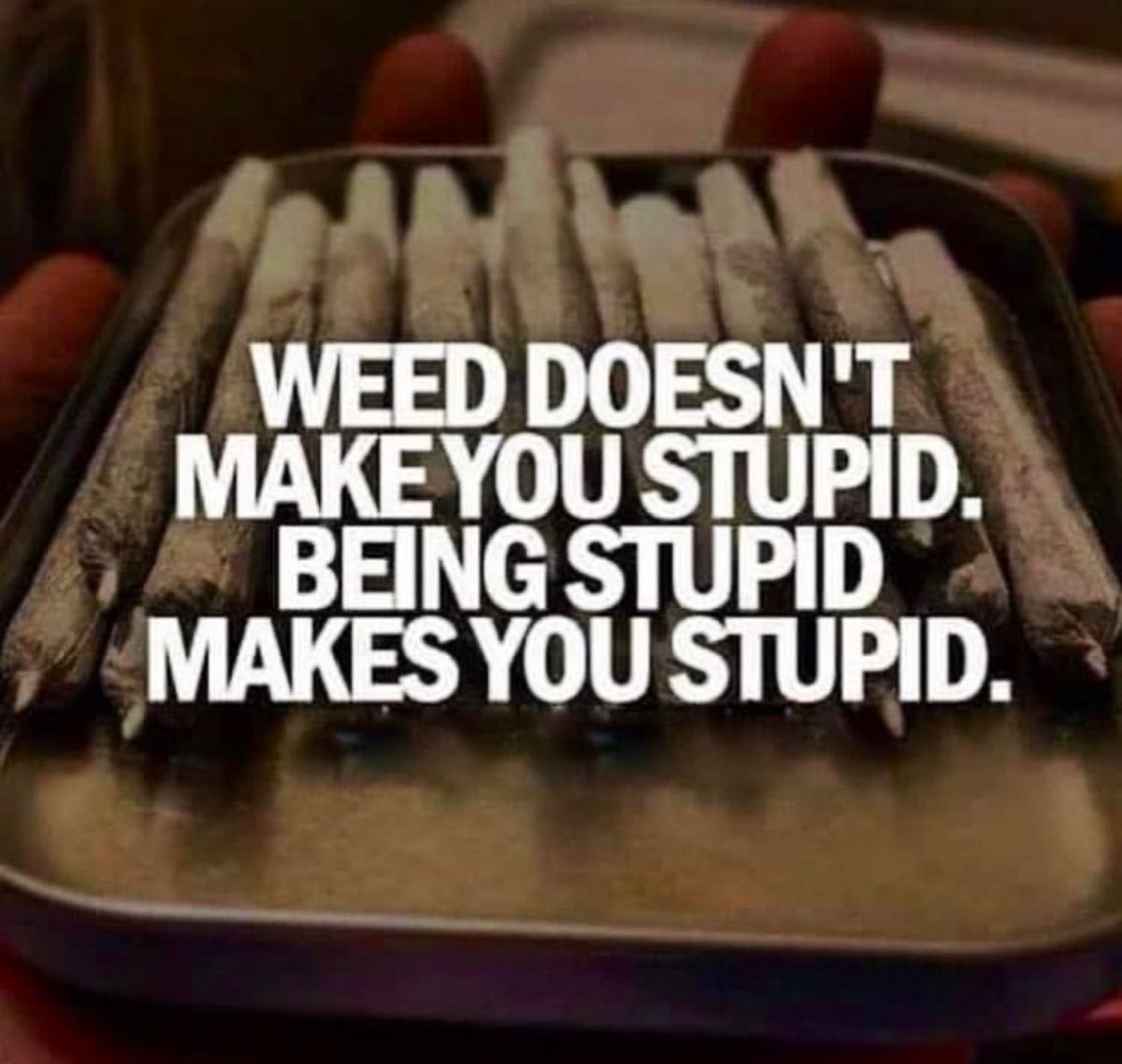 cannainvestors tweet picture