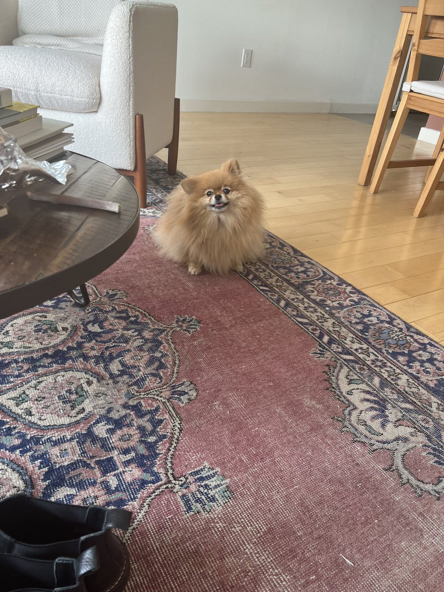 kelsey shamburger tweet media