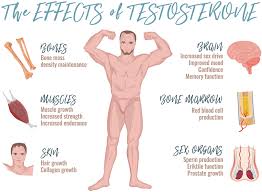 ApexRogue3's tweet photo. BOOST YOUR TESTOSTERONE NATURALLY WITH APEX ROGUE! BE YOUR BEST SELF!
https://t.co/dzyA4YvnE9

#MUSCLE #TESTOSTERONE #BRAIN #BONES #SEX #SKIN #BESTYOU #BETTERHEALTH #BETTERYOU #BESTYOU #LOVE #SEX #BUILDMUSCLE #LOSEWEIGHT #PORN #BEDROOM #LIFE #BEYOU https://t.co/3ThiMiHuuq