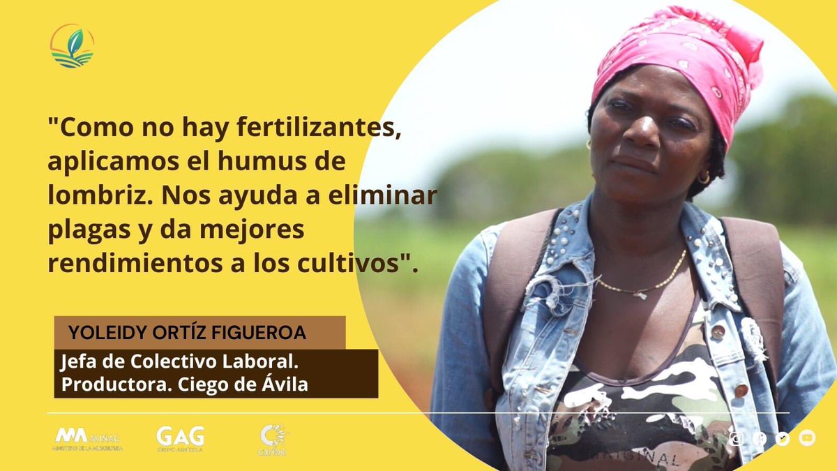 CultivaCiencia's tweet photo. Este 15 de octubre celebramos el #DíaMundialDeLaMujerRural 👩🌾 y hoy 16 el #DíaMundialDeLosAlimentos, dos fechas para recordar valiosas alternativas que se pueden aplicar, cuando producimos nuestros cultivos. El #HumusDeLombriz es una de ellas.
👇🌱🇨🇺
https://t.co/M4MNOBviMm https://t.co/ToYAVXBhtS