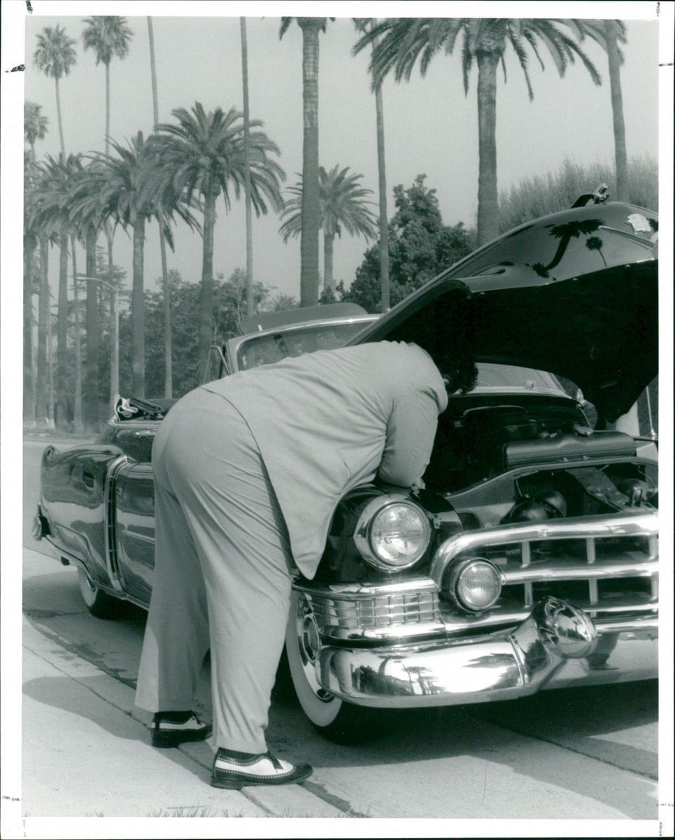 Flywheelcat's tweet image. Coltrane in a Cadillac 😘😘