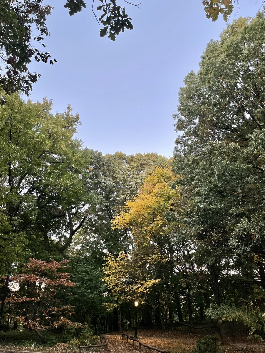 rrachelclarkk's tweet photo. Fall mornings in Prospect Park 🥰🍂 https://t.co/GvE9ay70QG