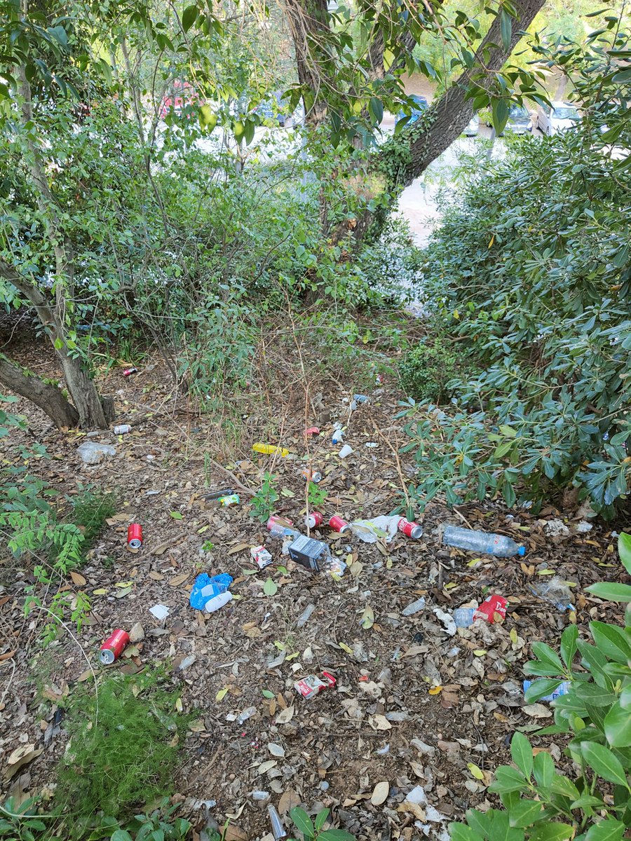 fcking_people's tweet photo. Una visita guiada por #montjuic patrocinado por @BCN_Ecologia @bcn_ajuntament @AdaColau 
Muchas gracias, es tan agradable venir a este parque maravilloso 
Hilo ⬇️ https://t.co/nz9dPhbVzc