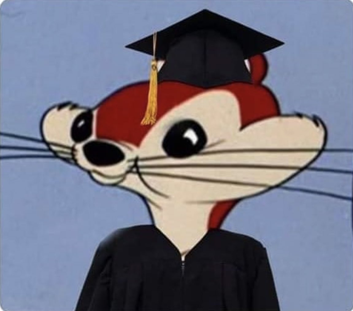 Licenciado en fracasología y ciencias de la desgracia.