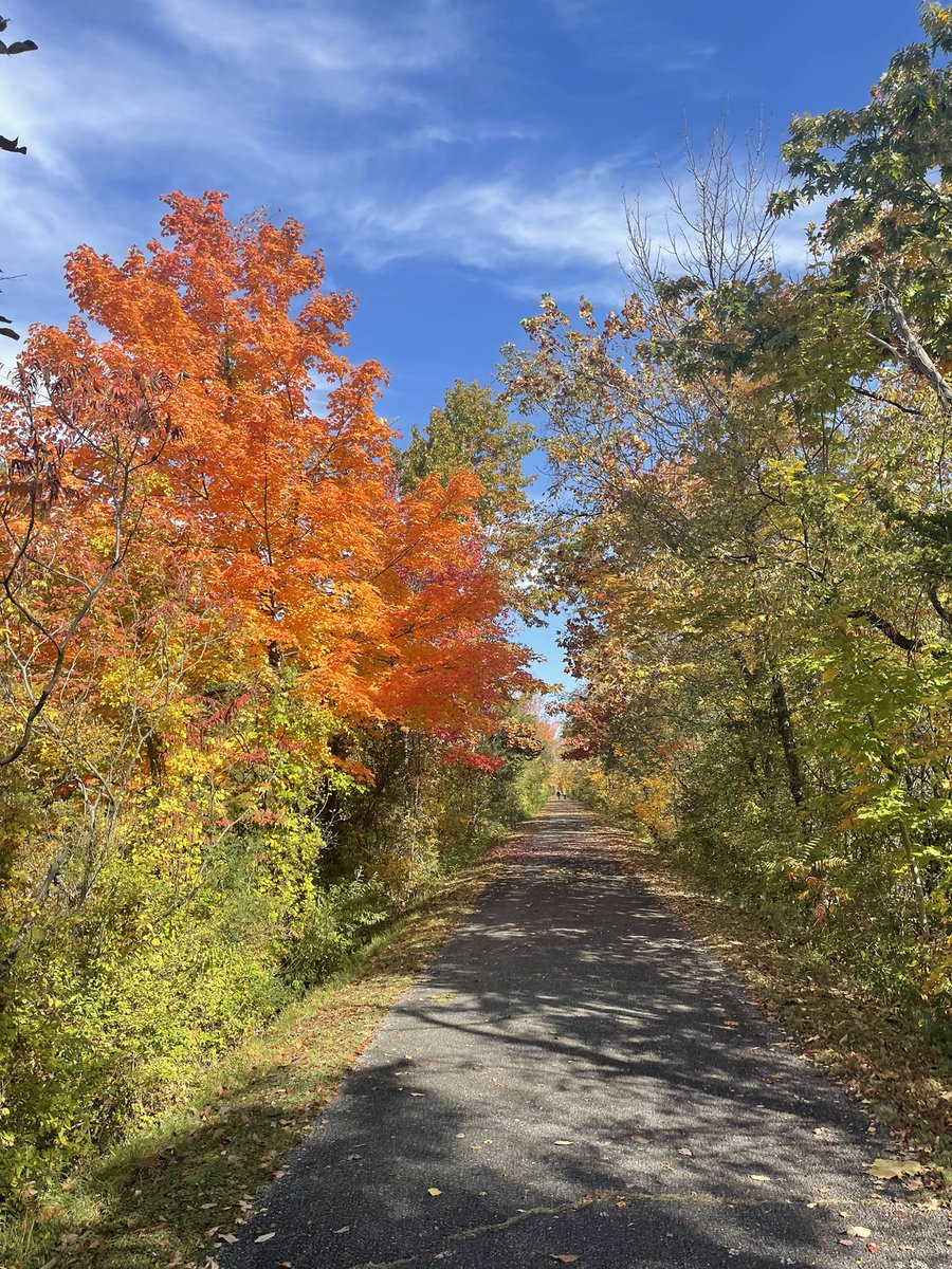 MrWeimann's tweet photo. Went for a jog in #NewEngland this morning.
#Foliage #SundayMorning #RunAndRant https://t.co/KpYeZXH4In