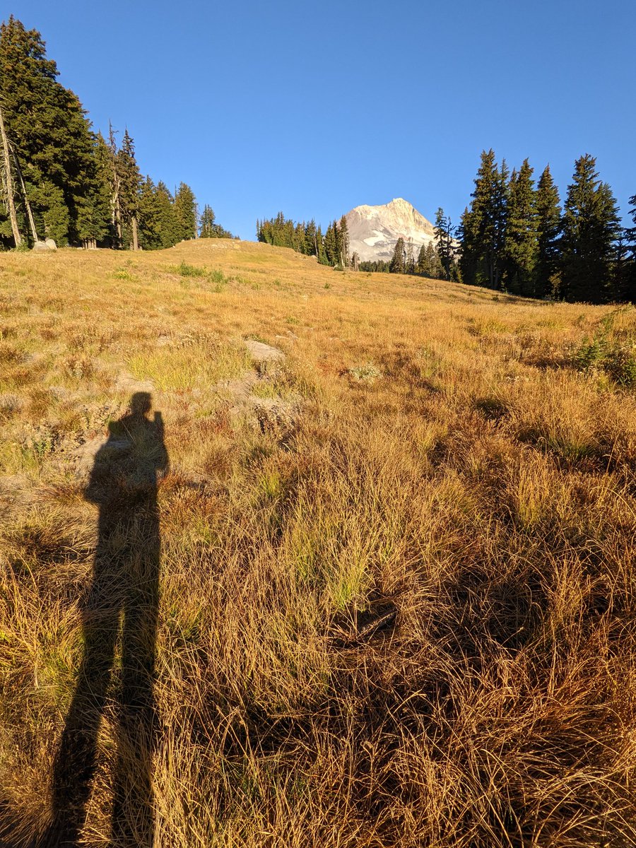 mushka thorkelson tweet media