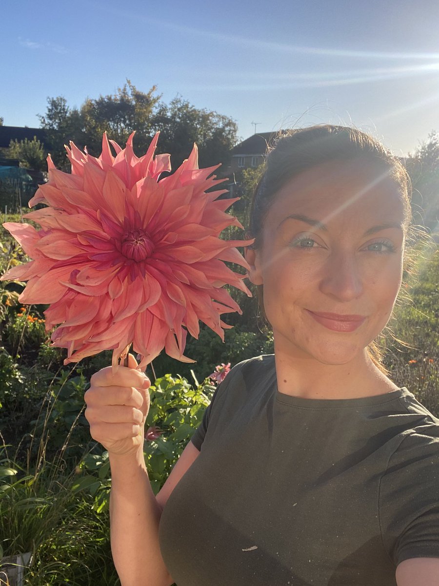 Big ones, small ones, some as big as your head 🌸 #GardenersWorld #garden #allotment #lincolnshire #SundayFunday #gardening