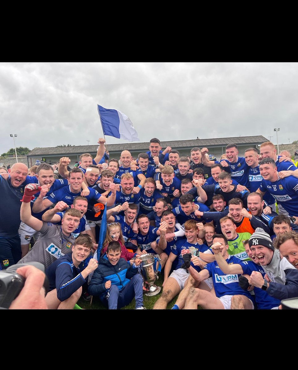 Louth GAA tweet media