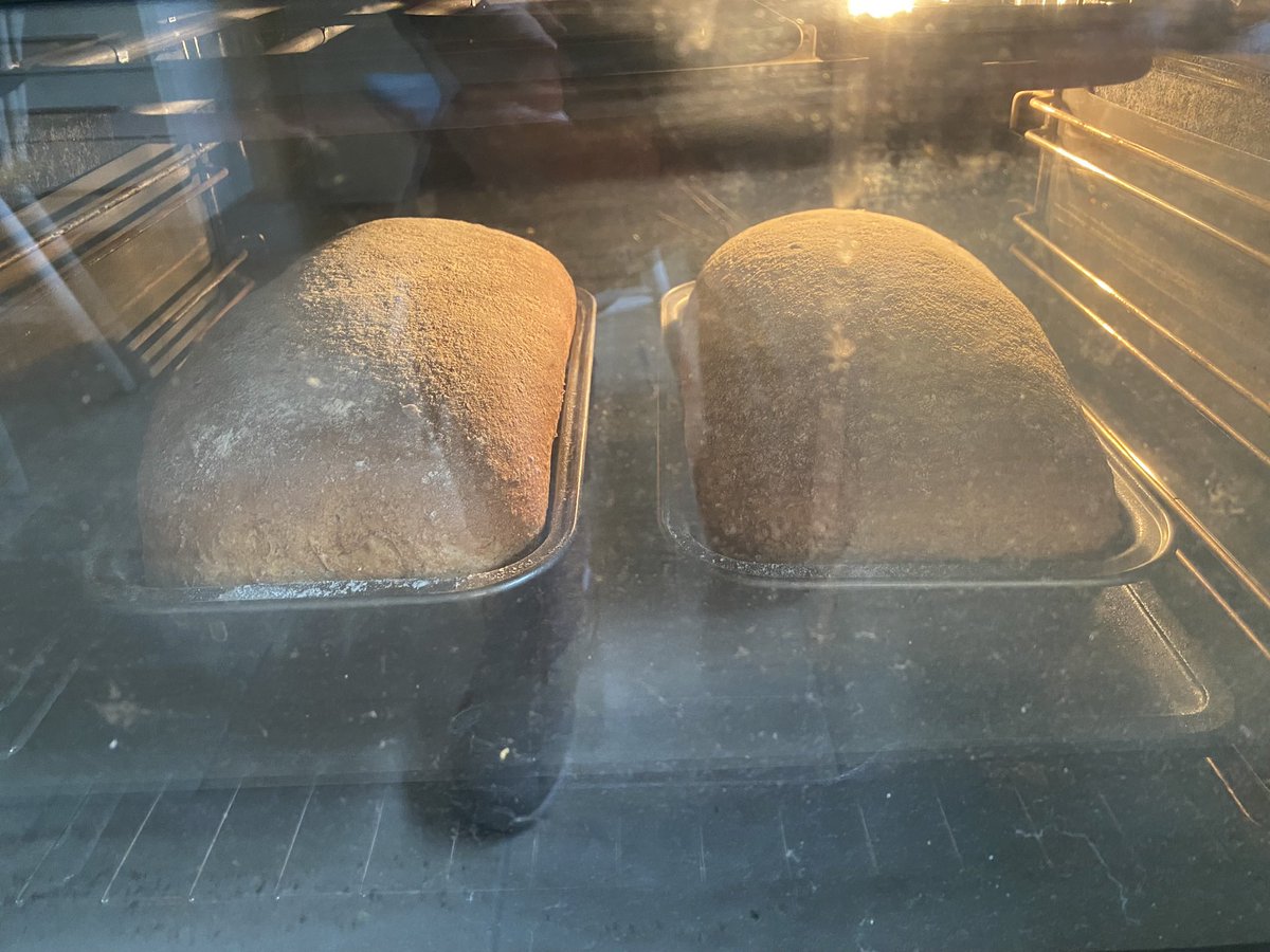 BoutiqueyDave's tweet photo. Can you smell them baking?
No?
Too bad…. 😂😂
#SundayBaker https://t.co/F0G6Wcu9ht