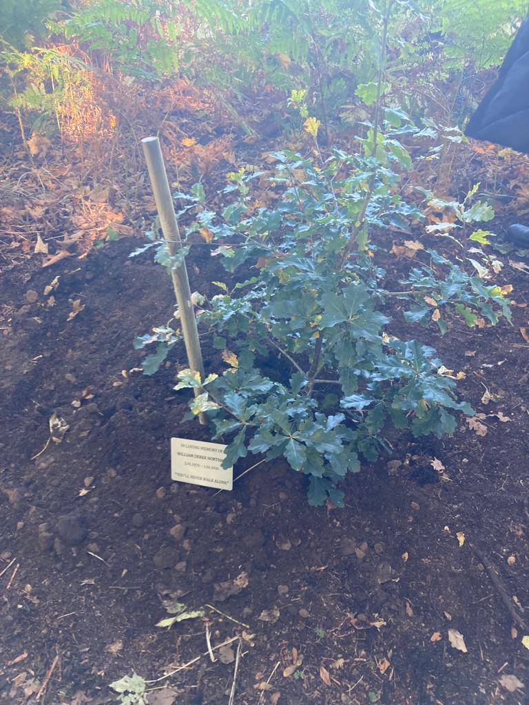 VickiMaher5's tweet photo. Remembering a much missed loved one by one small planting of a tree that hopefully will become a giant in the reserve 🙏 https://t.co/zkiulDkl8H