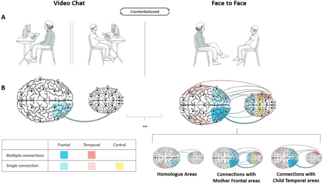 New paper in <a href="/NeuroImage_EiC/">NeuroImage</a>: "Technologically-Assisted Communication Attenuates Inter-Brain Synchrony"

— Here, we measured brain-to-brain dynamics of mother-child dyads in either face-to-face or video-chat (A la Zoom) interaction sciencedirect.com/science/articl…