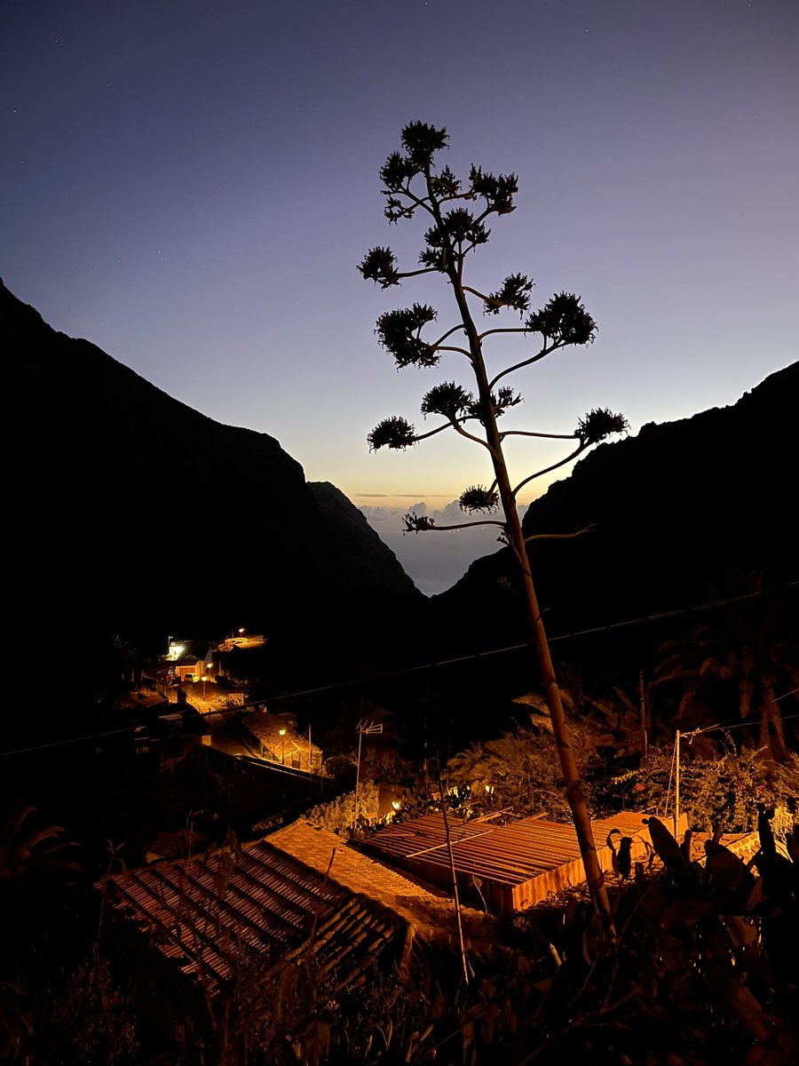 Masca Valley!🍂 #Tenerife