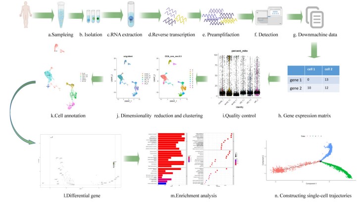 VirusesMDPI's tweet image. Development of Single-Cell #Transcriptomics and Its Application in #COVID19
👉mdpi.com/1887770
Li et al. review #singlecelltranscriptomics in COVID-19 research and offer insights regarding how to improve COVID-19 #diagnosis and #treatment plans