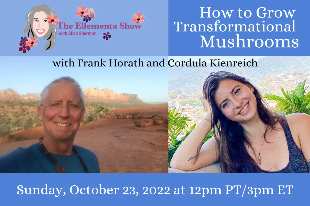 NEXT WEEKEND 10/23: How to Grow Transformational Mushrooms with Frank &amp; Cordi. 🍄 FREE to attend: buff.ly/3VsSyyr
