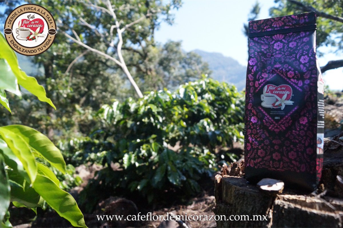 flordmicorazon's tweet photo. Consume el café #FlorDeMiCorazon orgulloso producto de Zapotitlán de Méndez #Puebla  #consumelocal #OrgulloPuebla #zapotitlándeméndez. El mejor café para la mejor persona. Pedidos al +52 233 117 5902 https://t.co/ZBHV9vHE67