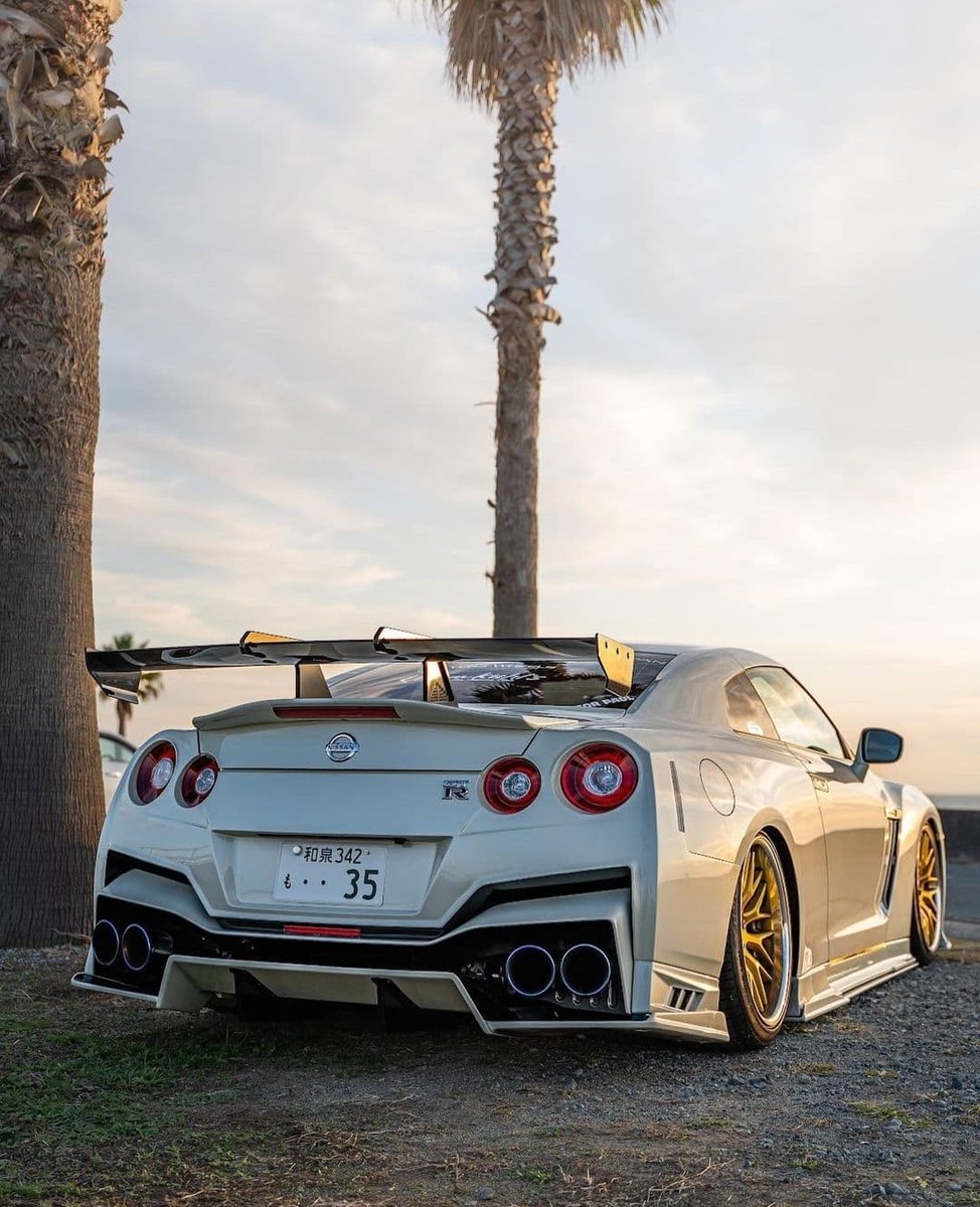 DailyGTRTM's tweet photo. Heavy modified Nissan GT-R35 💀 https://t.co/jemjlKR0yc