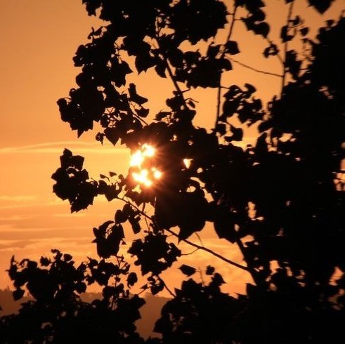 🎃 ੭ :: Inspo de disfraces y maquillajes para halloween que te podrian gustar ˎˊ˗
˚  .   ─   a thread by 🌸