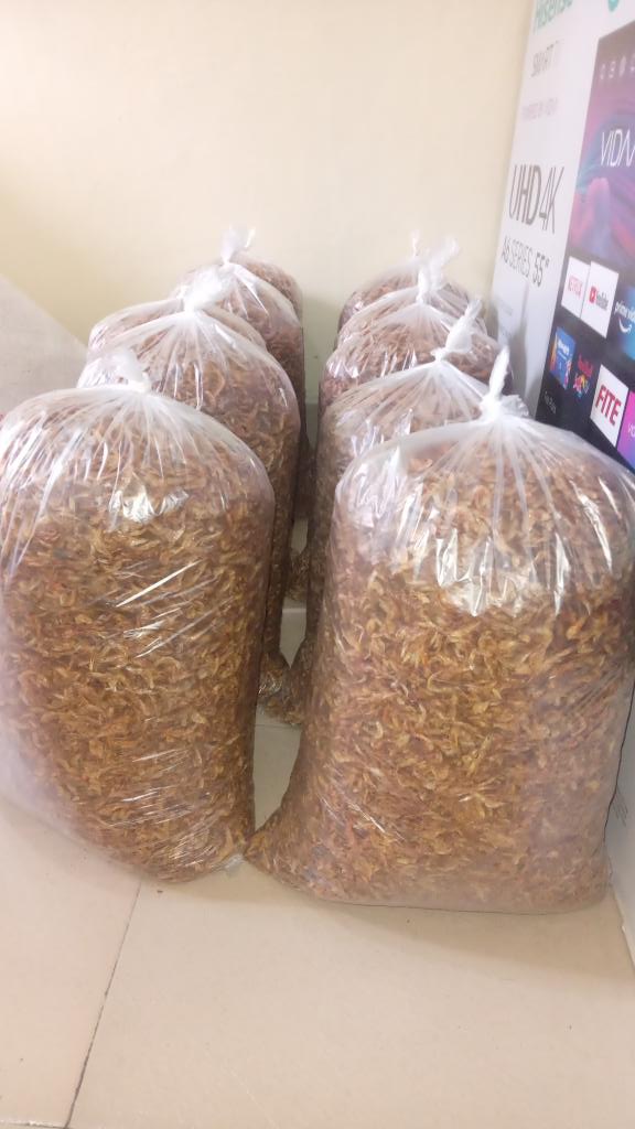 Desmondflowz's tweet photo. Quality and highly affordable Crayfish for sale. Contact us via WhatsApp on 08161849677 for details on  purchase/ orders https://t.co/gAKgObOusN