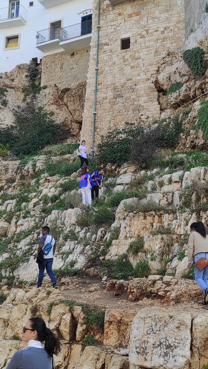 erasmusbari's tweet photo. Look at the guys from Bari in Polignano a Mare with Pescaria cleaning project! We take care of the environment, stay tuned for other events like this 🦎🏖️ https://t.co/SVafGuWkbc