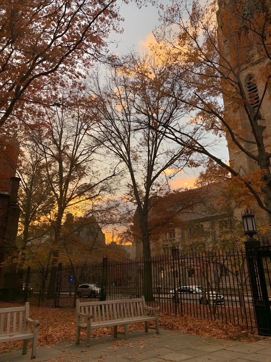 AcademiaDreams's tweet photo. Yale in fall https://t.co/PTQpPp8c2R
