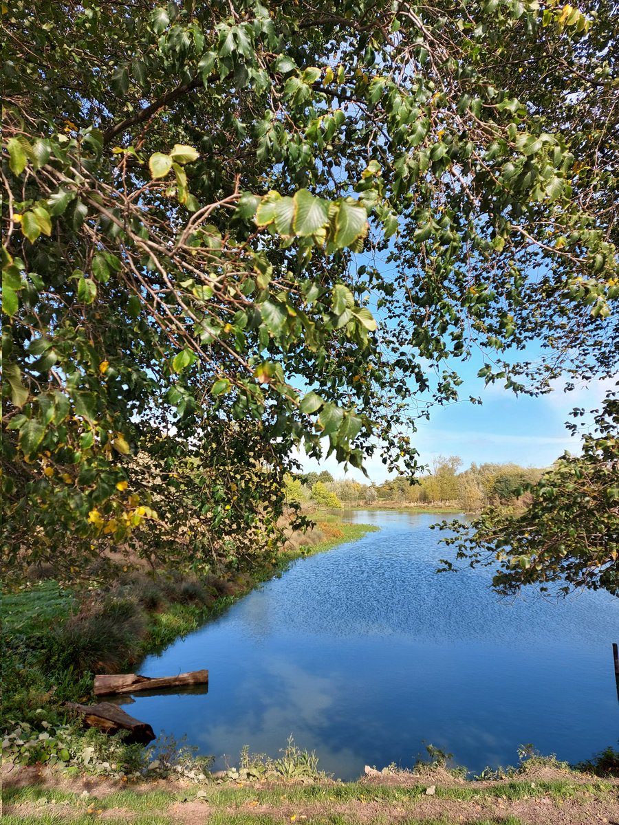 APolder1's tweet photo. @suzanneunck Stukje gewandeld in natuurgebied in Vlaardingen 😍 https://t.co/rk03gtRTgp