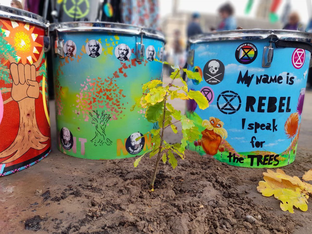 A sapling from the Ketts Oak planted in Parliament Square by @xryouthuk  is a symbol of hope for our future

We ask the UK Government @GOVUK and the London authorities to #KeepTheTree

@MayorofLondon
 prove you care about the #climatecrisis by protecting this tree and our future.