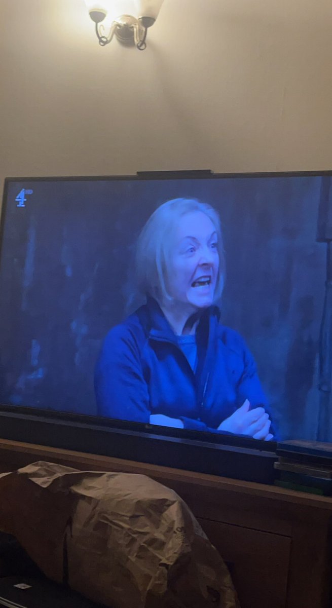 The interrogator on Celebrity SAS looks identical to Liz Truss 😂#SASWhoDaresWins