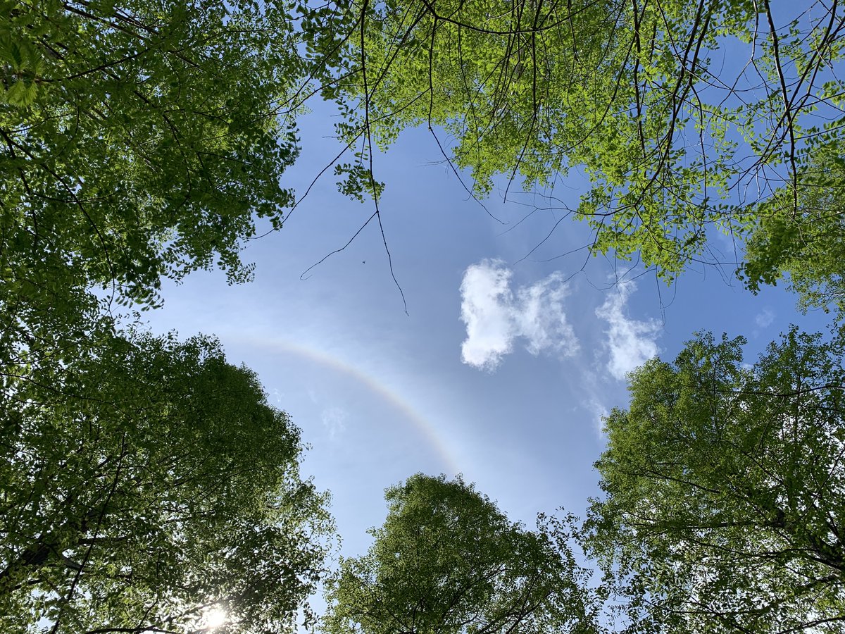 ᛟ⛅️holyweather⛈️ᚹ tweet media