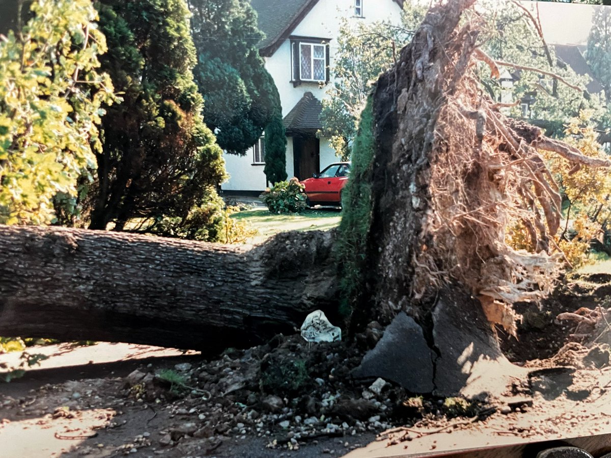 image2imageuk's tweet photo. Some of my photos from the great storm of 1987 #thegreatstorm #1987 #michaelfish https://t.co/400V5GSppj