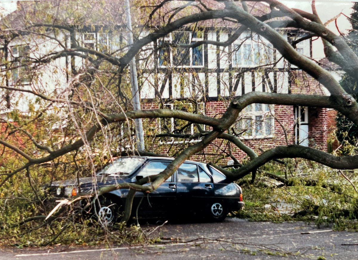 image2imageuk's tweet photo. Some of my photos from the great storm of 1987 #thegreatstorm #1987 #michaelfish https://t.co/400V5GSppj
