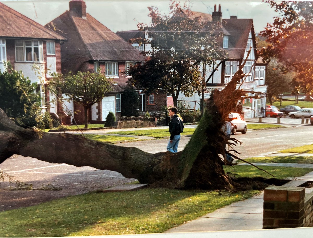 image2imageuk's tweet photo. Some of my photos from the great storm of 1987 #thegreatstorm #1987 #michaelfish https://t.co/400V5GSppj