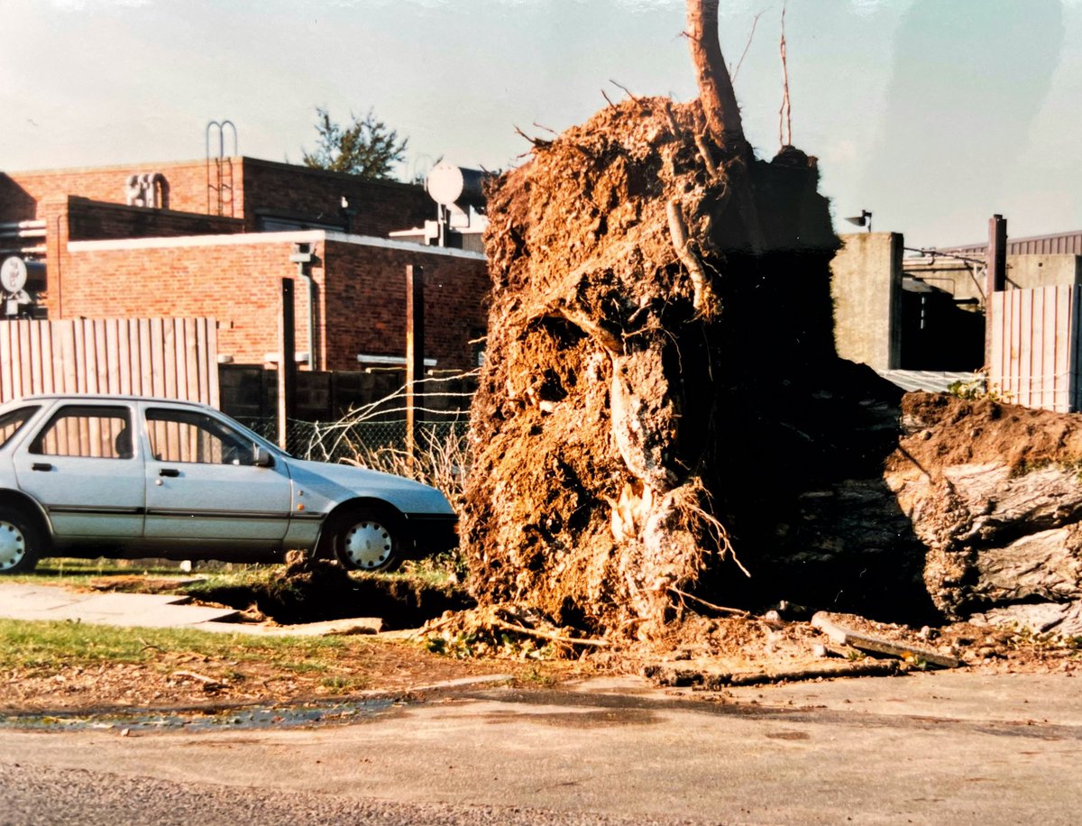 image2imageuk's tweet photo. Some of my photos from the great storm of 1987 #thegreatstorm #1987 #michaelfish https://t.co/400V5GSppj
