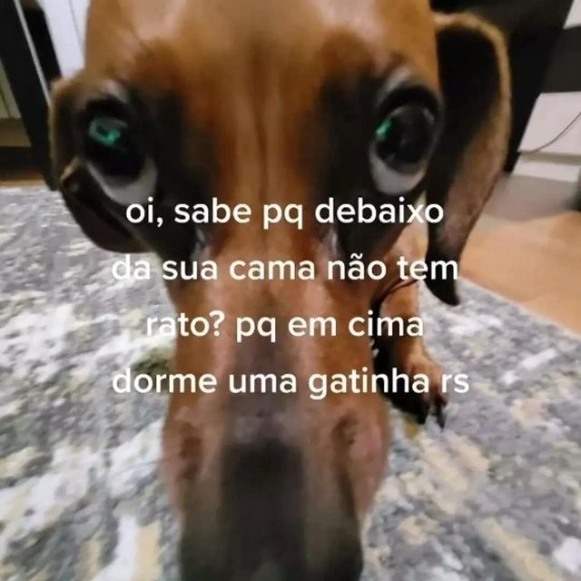 memeparaoarroba's tweet photo. https://t.co/kie2Cf6Wd6